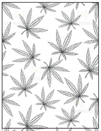 Cannabis Leaf Coloring Book