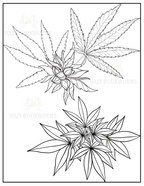 Cannabis Leaf Coloring Book