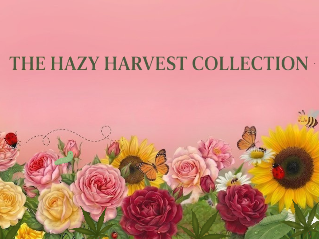 Hazy Harvest Collection